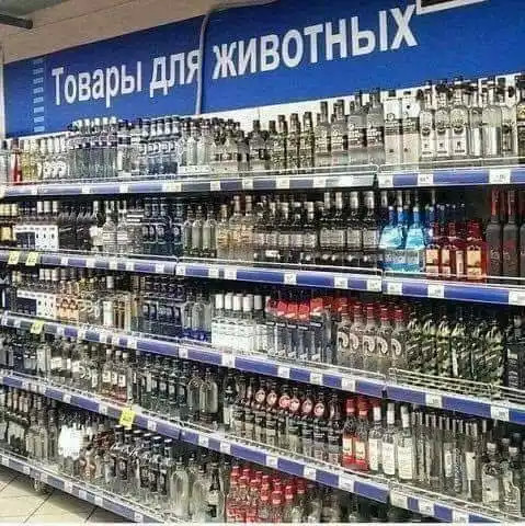 Курилка- разговоры на любые темы - Бодибилдинг форум AnabolicShops