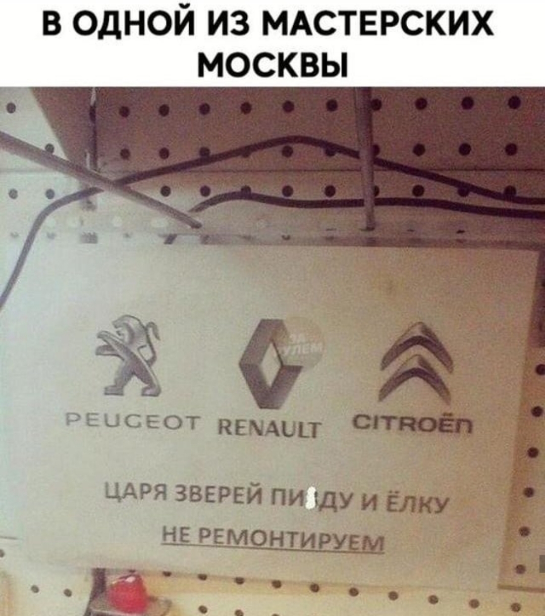 Курилка- разговоры на любые темы - Бодибилдинг форум AnabolicShops
