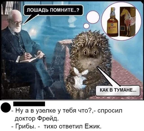 Курилка- разговоры на любые темы - Бодибилдинг форум AnabolicShops