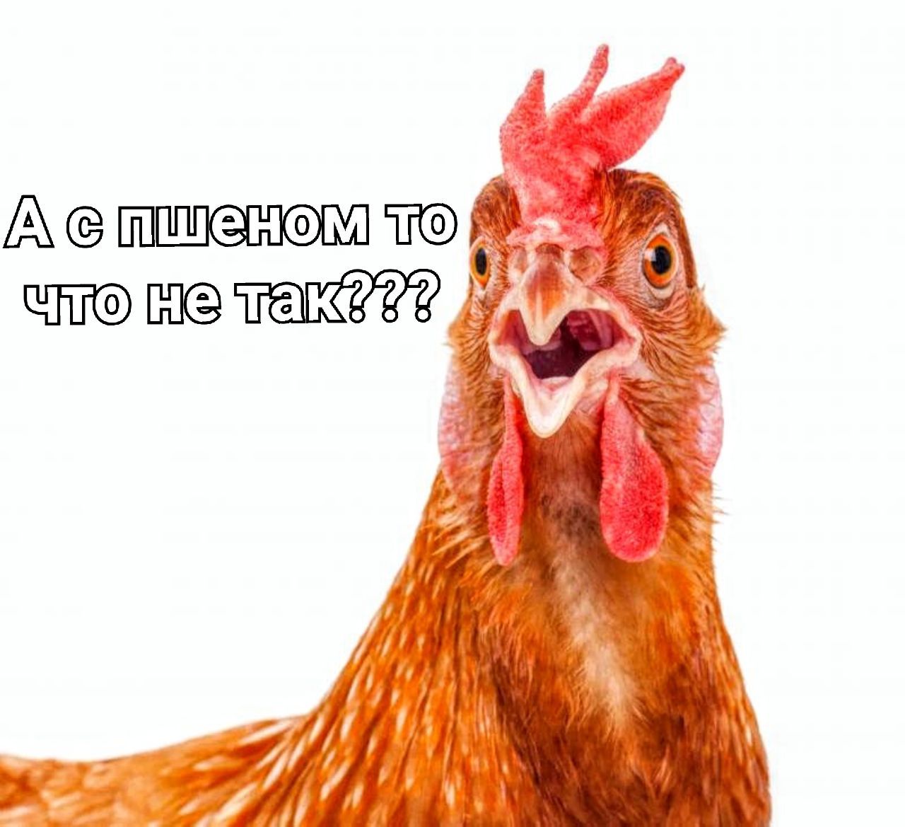 Интернет Магазин nadopinge.com - Бодибилдинг форум AnabolicShops