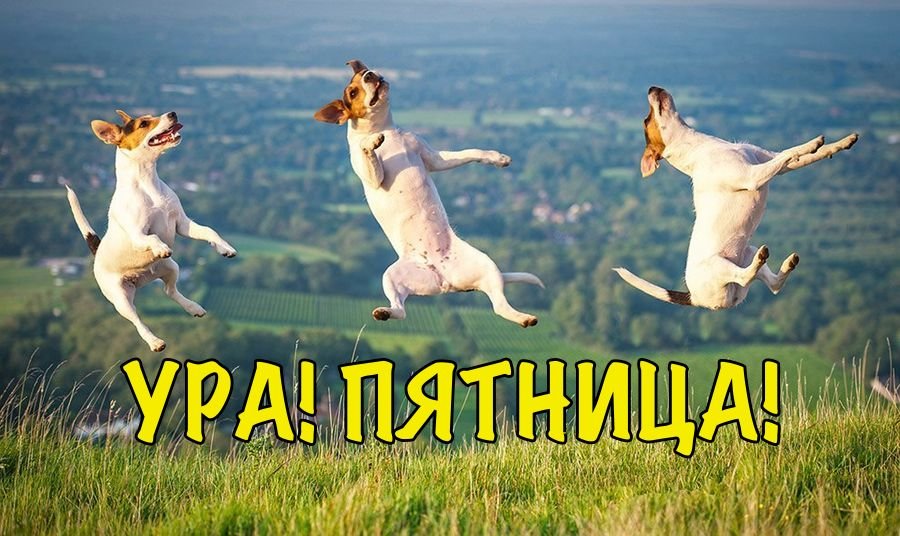 Homosteron.com оф.дилер Zphc|CanadaPeptides|Ergo Mrc - Бодибилдинг форум AnabolicShops