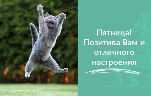 Интернет Магазин nadopinge.com - Бодибилдинг форум AnabolicShops
