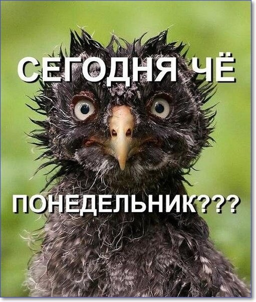Интернет Магазин nadopinge.com - Бодибилдинг форум AnabolicShops