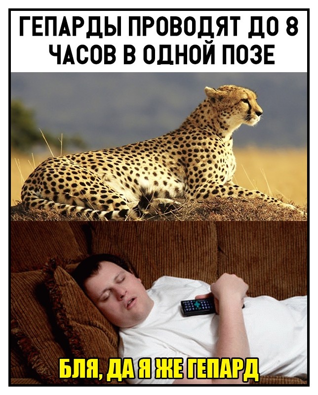 bestpharma.life - Бодибилдинг форум AnabolicShops