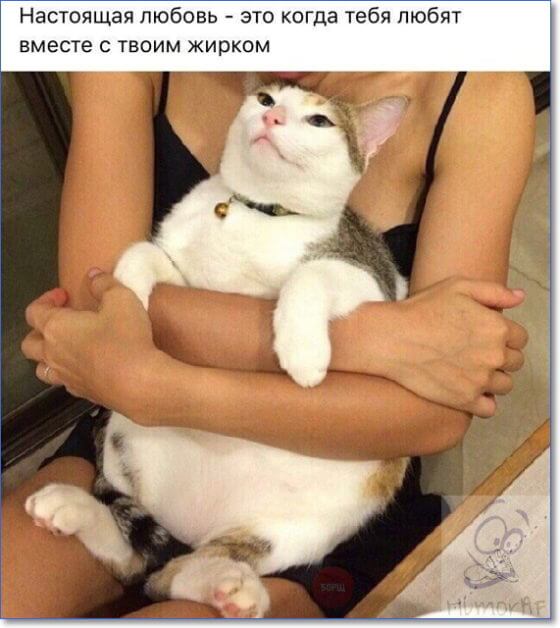 Курилка- разговоры на любые темы - Бодибилдинг форум AnabolicShops