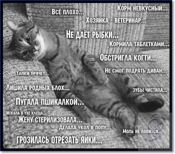Курилка- разговоры на любые темы - Бодибилдинг форум AnabolicShops