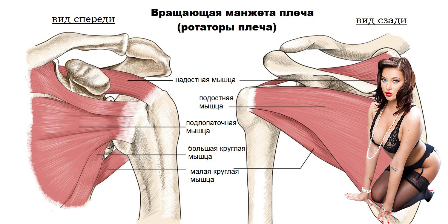 AOTRAUMA может полезно будет? - Бодибилдинг форум AnabolicShops