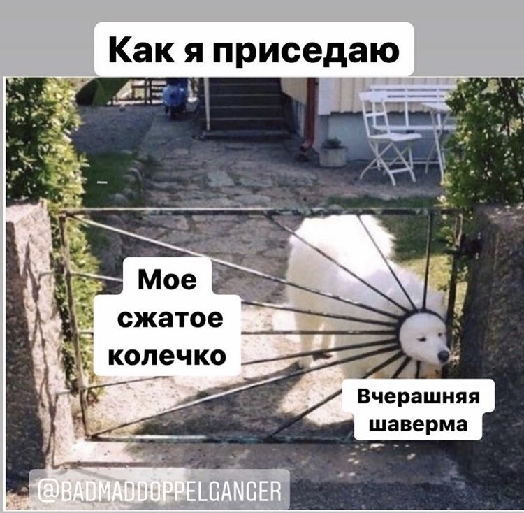 В футболке, + 100 к силе. (отчеты по конкурсу) - Бодибилдинг форум AnabolicShops