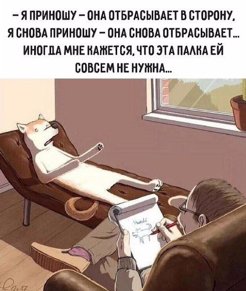 Анекдоты обо всем - Бодибилдинг форум AnabolicShops