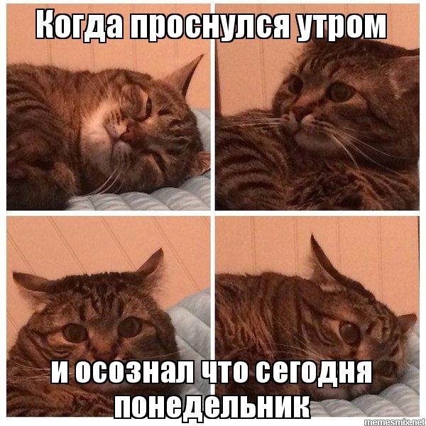 Phoenix medical. Завоз фармы,мега скидки! - Бодибилдинг форум AnabolicShops
