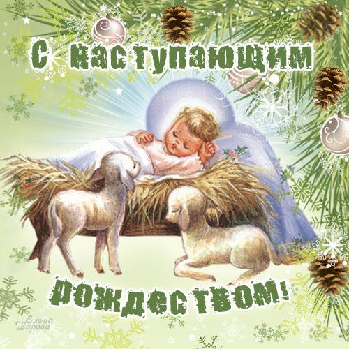 Интернет Магазин nadopinge.com - Бодибилдинг форум AnabolicShops