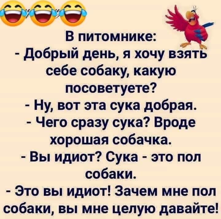 Анекдоты обо всем - Бодибилдинг форум AnabolicShops