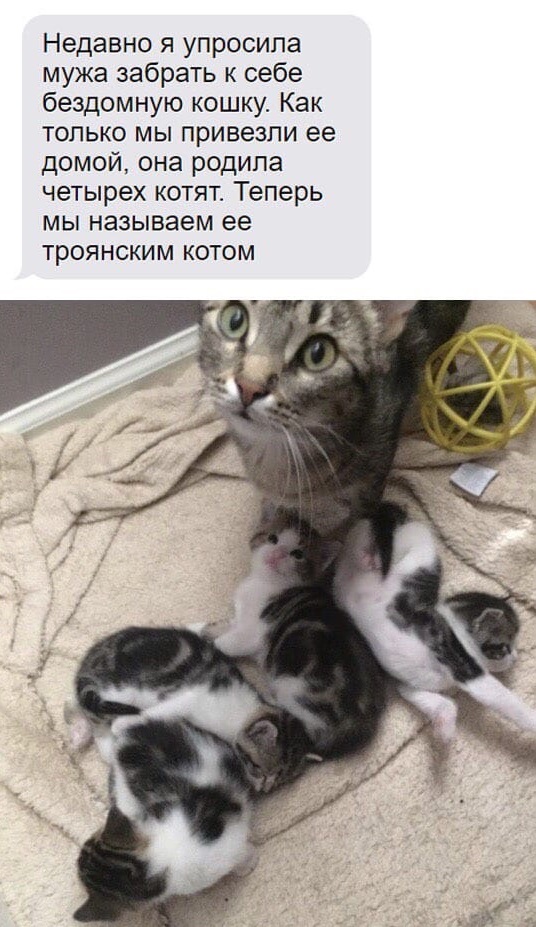 Курилка- разговоры на любые темы - Бодибилдинг форум AnabolicShops