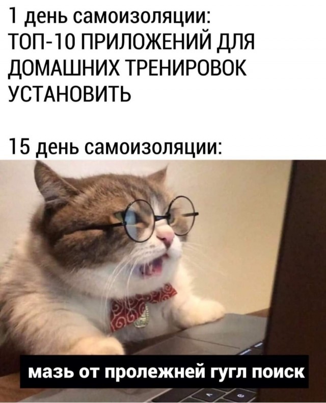 Закрытие  фитнес клубов в Москве - Бодибилдинг форум AnabolicShops