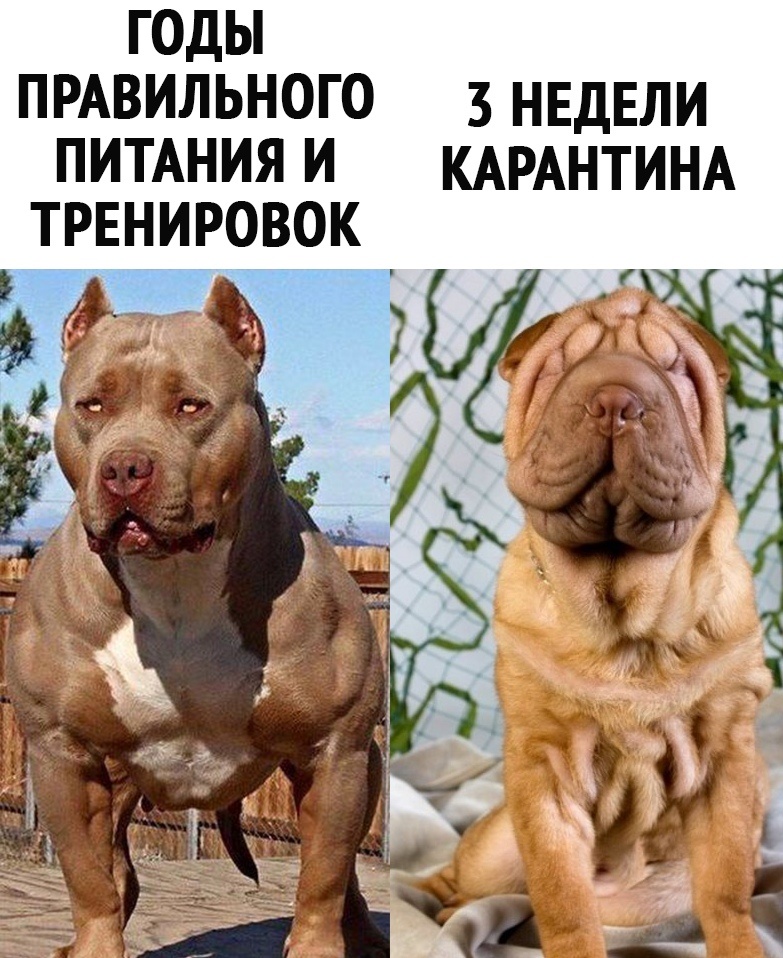 Курилка- разговоры на любые темы - Бодибилдинг форум AnabolicShops