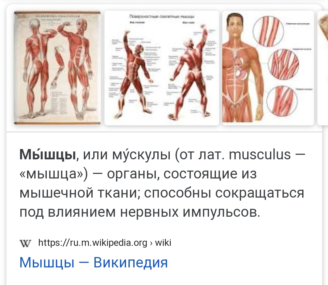 Разбор анализов гормонов, помощь специалиста - Бодибилдинг форум AnabolicShops