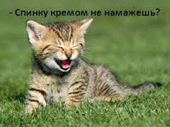 italicafarm.com - Бодибилдинг форум AnabolicShops