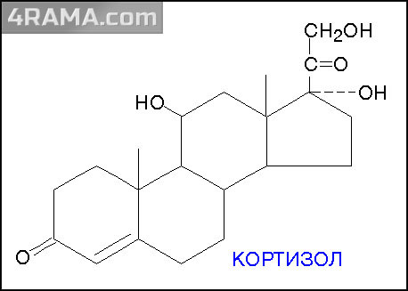 Восстановление после тренировки - Бодибилдинг форум AnabolicShops