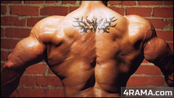 Как накачать широкую спину - Бодибилдинг форум AnabolicShops