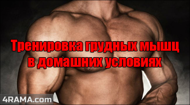Тренировка грудных мышц дома - Бодибилдинг форум AnabolicShops