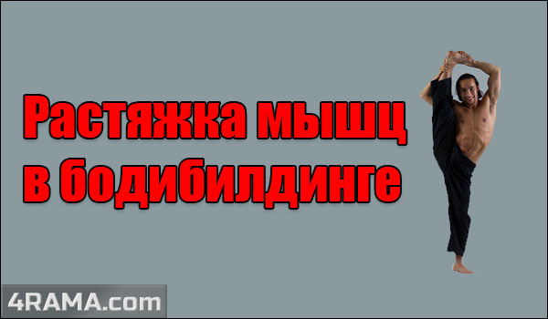 Растяжка мышц - Бодибилдинг форум AnabolicShops