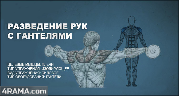 Разведение рук с гантелями стоя - Бодибилдинг форум AnabolicShops