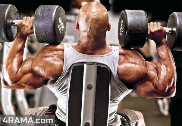 Суперсеты на плечи - Бодибилдинг форум AnabolicShops