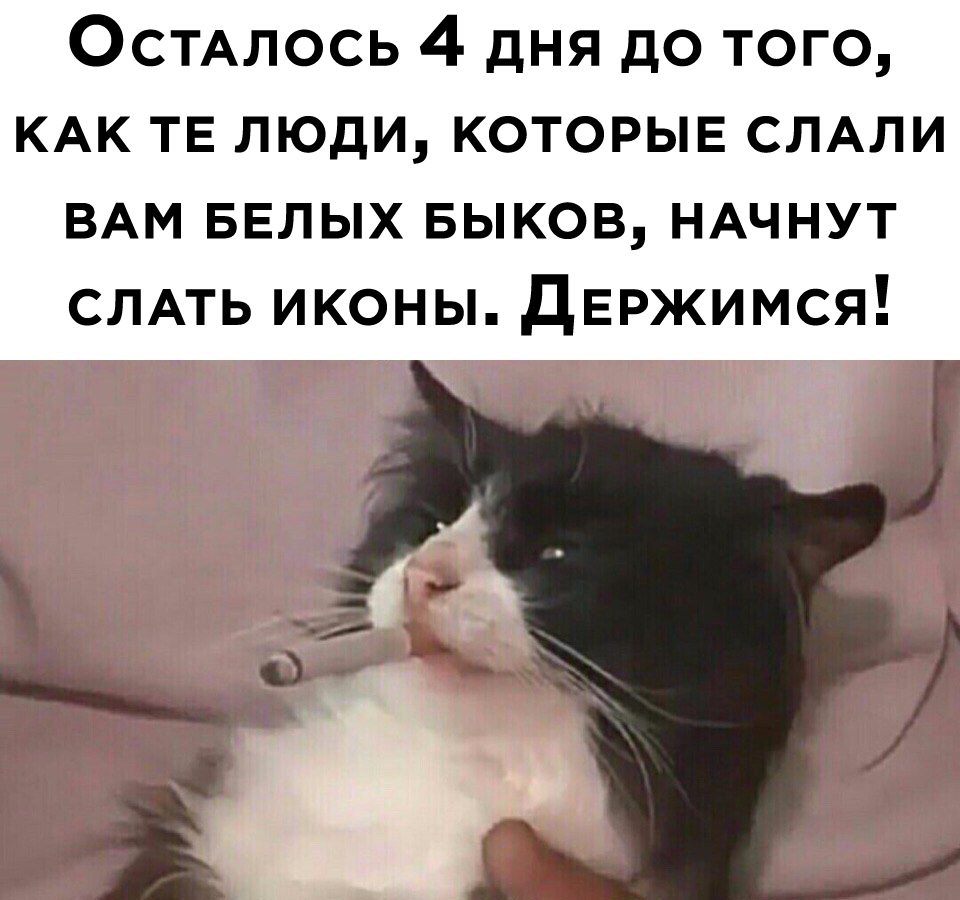 Курилка- разговоры на любые темы - Бодибилдинг форум AnabolicShops