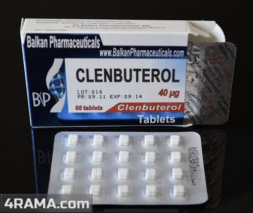 Clenbuterol - Бодибилдинг форум AnabolicShops