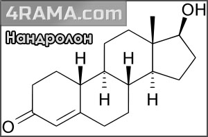 Decaver - Бодибилдинг форум AnabolicShops