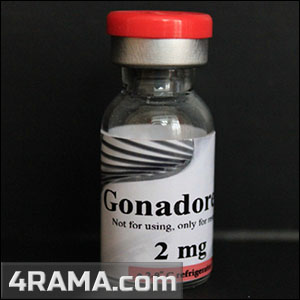 Гонадорелин - Бодибилдинг форум AnabolicShops