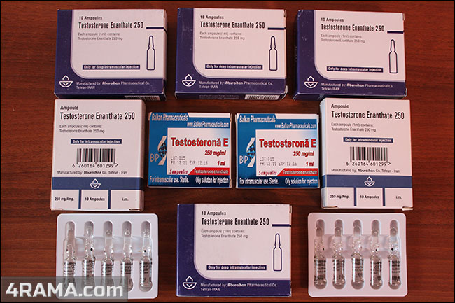 Тестостерон энантат - Бодибилдинг форум AnabolicShops