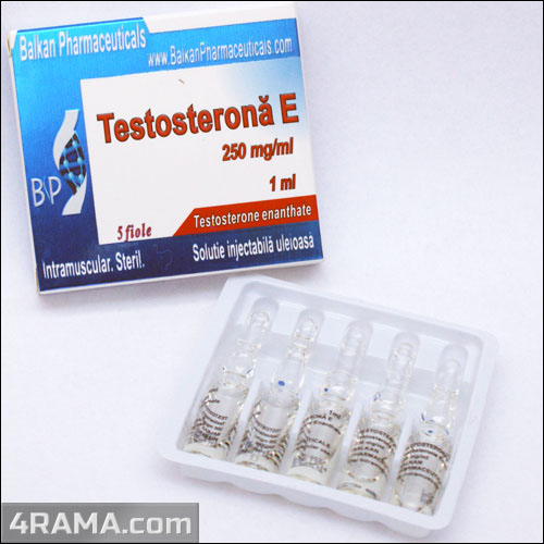 Тестостерон - Бодибилдинг форум AnabolicShops