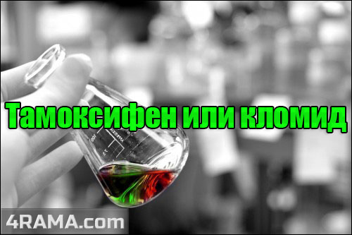 Тамоксифен или кломид? - Бодибилдинг форум AnabolicShops