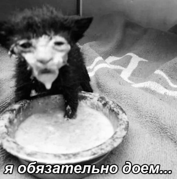 BIOSURE religions - Бодибилдинг форум AnabolicShops