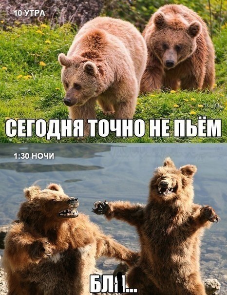 Курилка- разговоры на любые темы - Бодибилдинг форум AnabolicShops