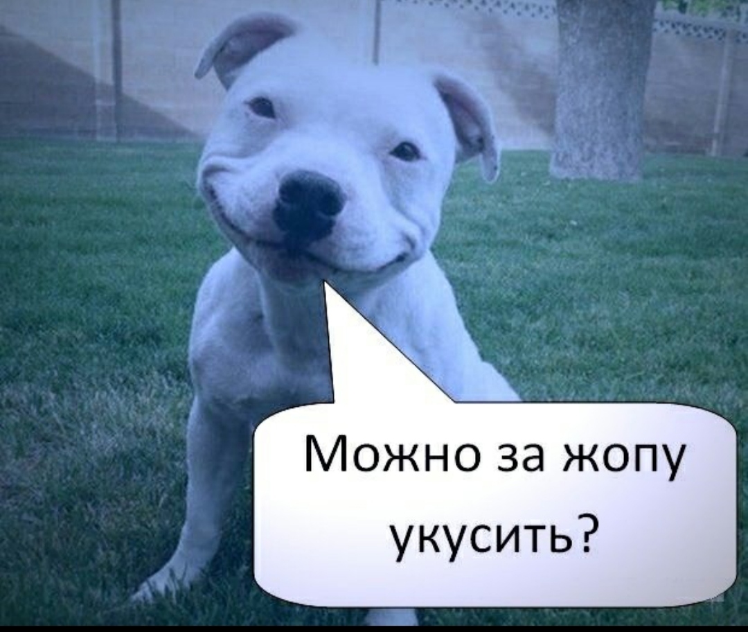 Курилка- разговоры на любые темы - Бодибилдинг форум AnabolicShops
