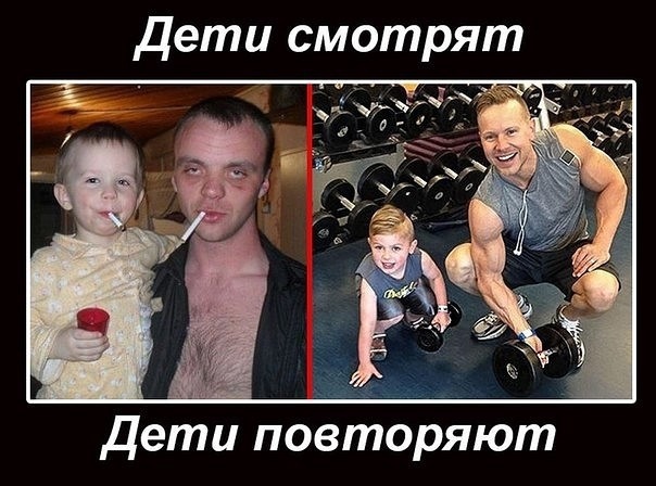 Алкоголь на курсе, можно или нет? - Бодибилдинг форум AnabolicShops