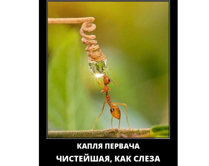 Курилка- разговоры на любые темы - Бодибилдинг форум AnabolicShops
