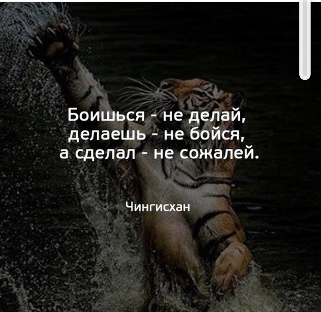 StoreGenerics.ru-Дженерики-все для ПКТ - Бодибилдинг форум AnabolicShops
