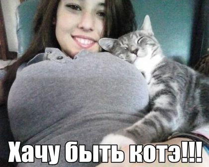 Курилка- разговоры на любые темы - Бодибилдинг форум AnabolicShops