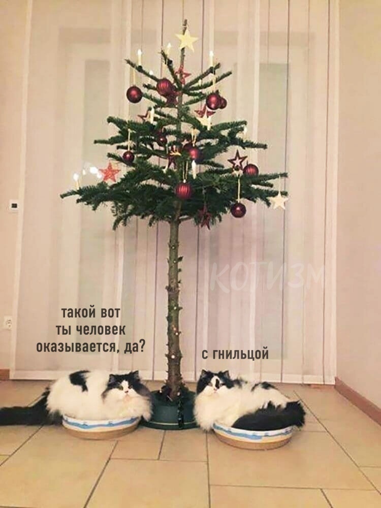 С наступающим 2022 годом! - Бодибилдинг форум AnabolicShops