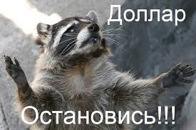 italicafarm.com - Бодибилдинг форум AnabolicShops