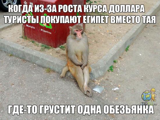 italicafarm.com - Бодибилдинг форум AnabolicShops