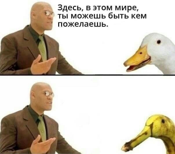 BIOSURE religions - Бодибилдинг форум AnabolicShops