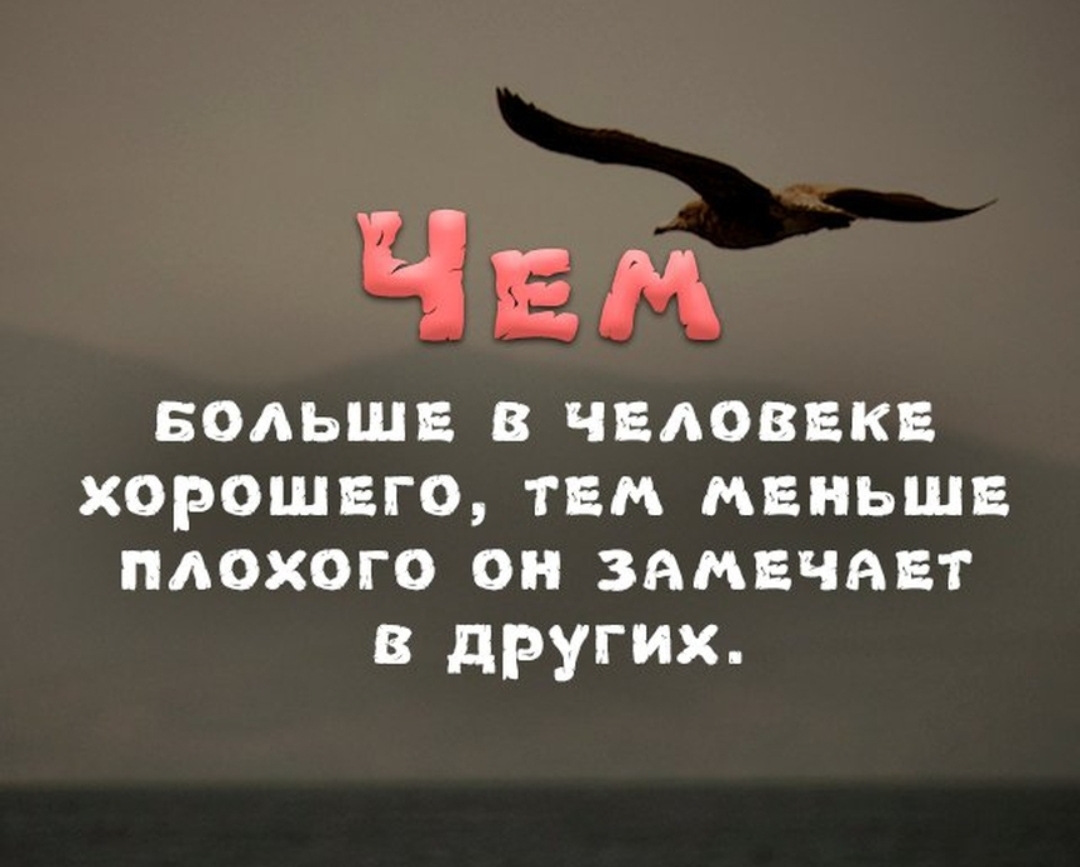 StoreGenerics.ru-Дженерики-все для ПКТ - Бодибилдинг форум AnabolicShops