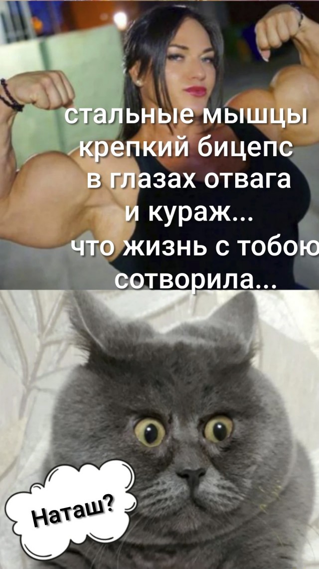 Курилка- разговоры на любые темы - Бодибилдинг форум AnabolicShops