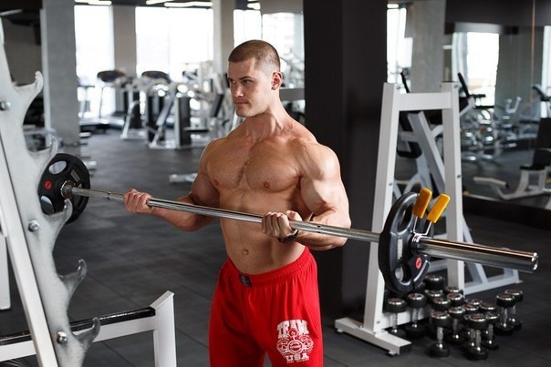 City Champ gym & fight Казань - Бодибилдинг форум AnabolicShops