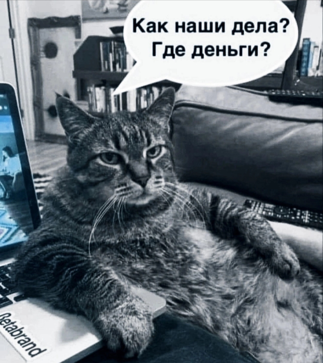 Hilma pro - Мы вернулись! и запустили Акцию! - Бодибилдинг форум AnabolicShops