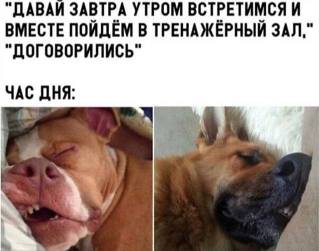 Курилка- разговоры на любые темы - Бодибилдинг форум AnabolicShops